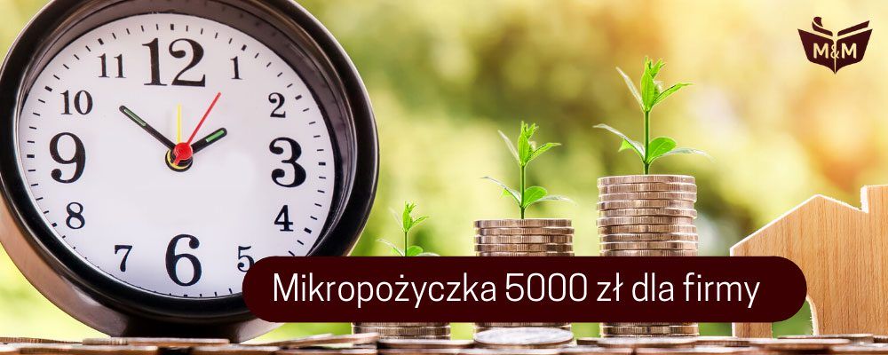 Mikropożyczka 5000 zł dla przedsiębiorców